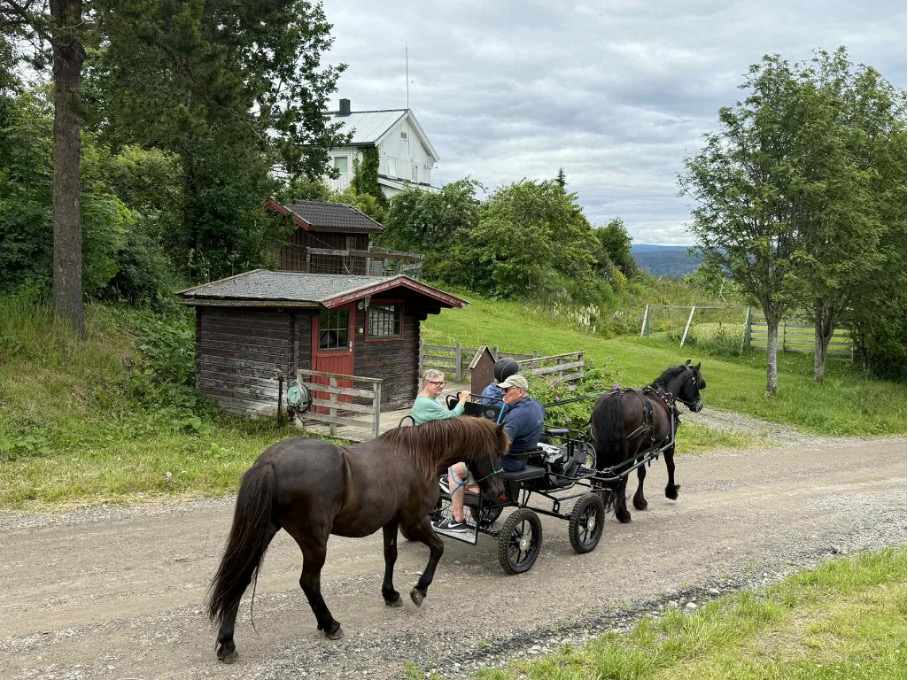 Hest spent for vogn på gårdsveien, med en pony ved siden av