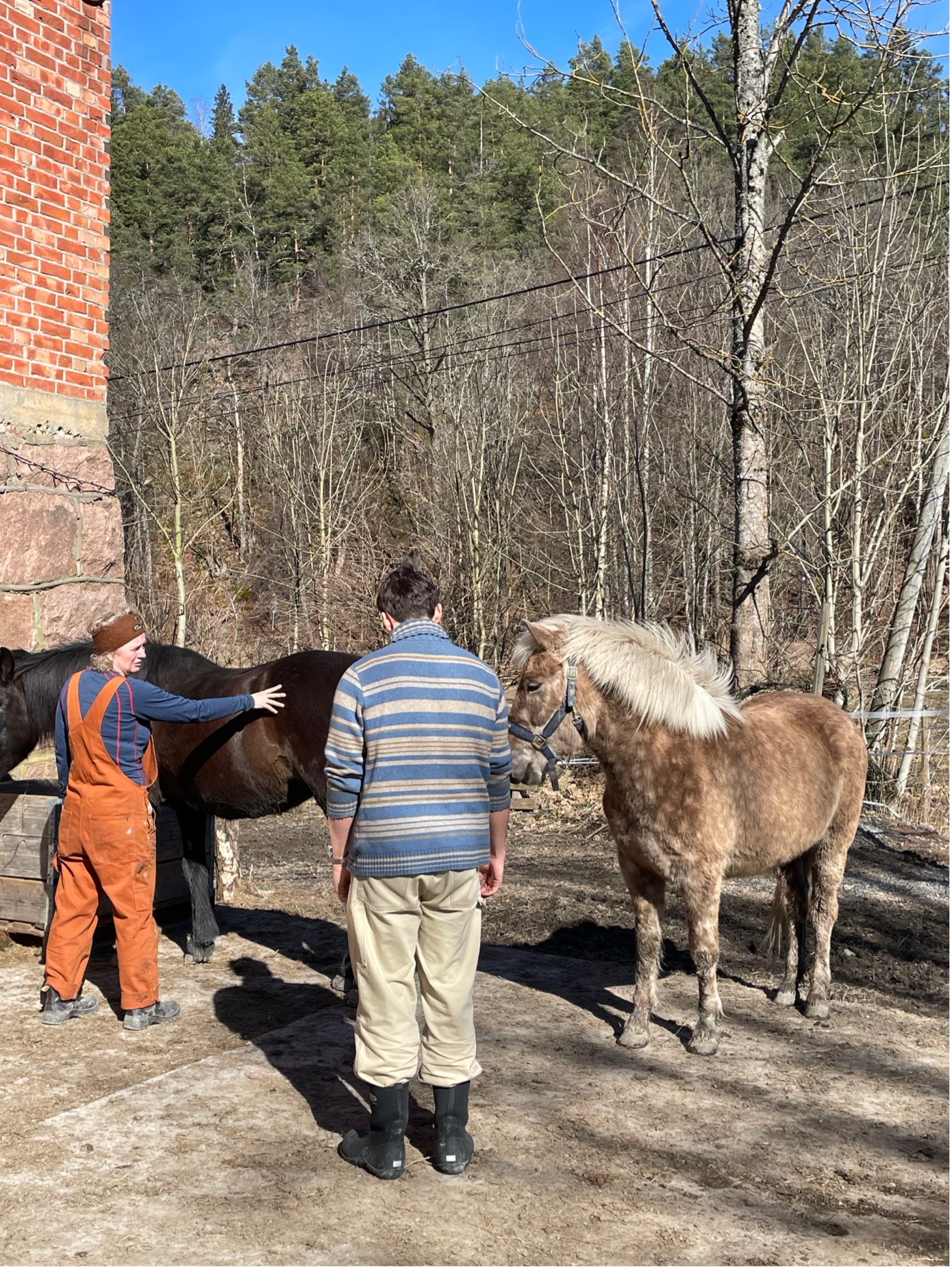 To personer som står rolig sammen med to hester utenfor stallen