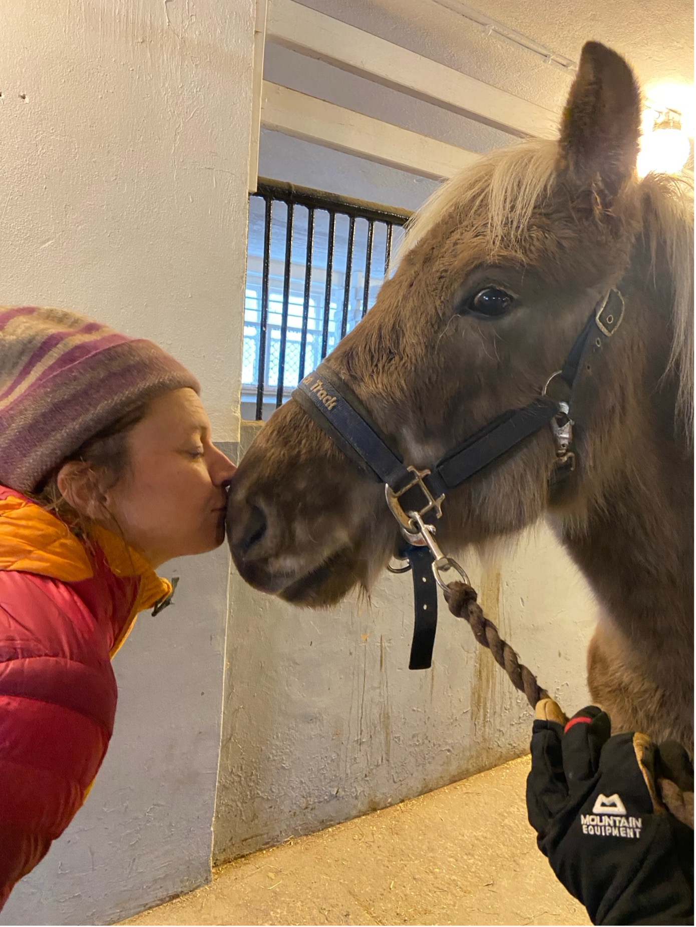 Person og hest nese mot nese inne i stallen