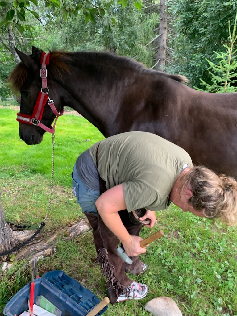 Marie Skramstad som steller hoven til en hest