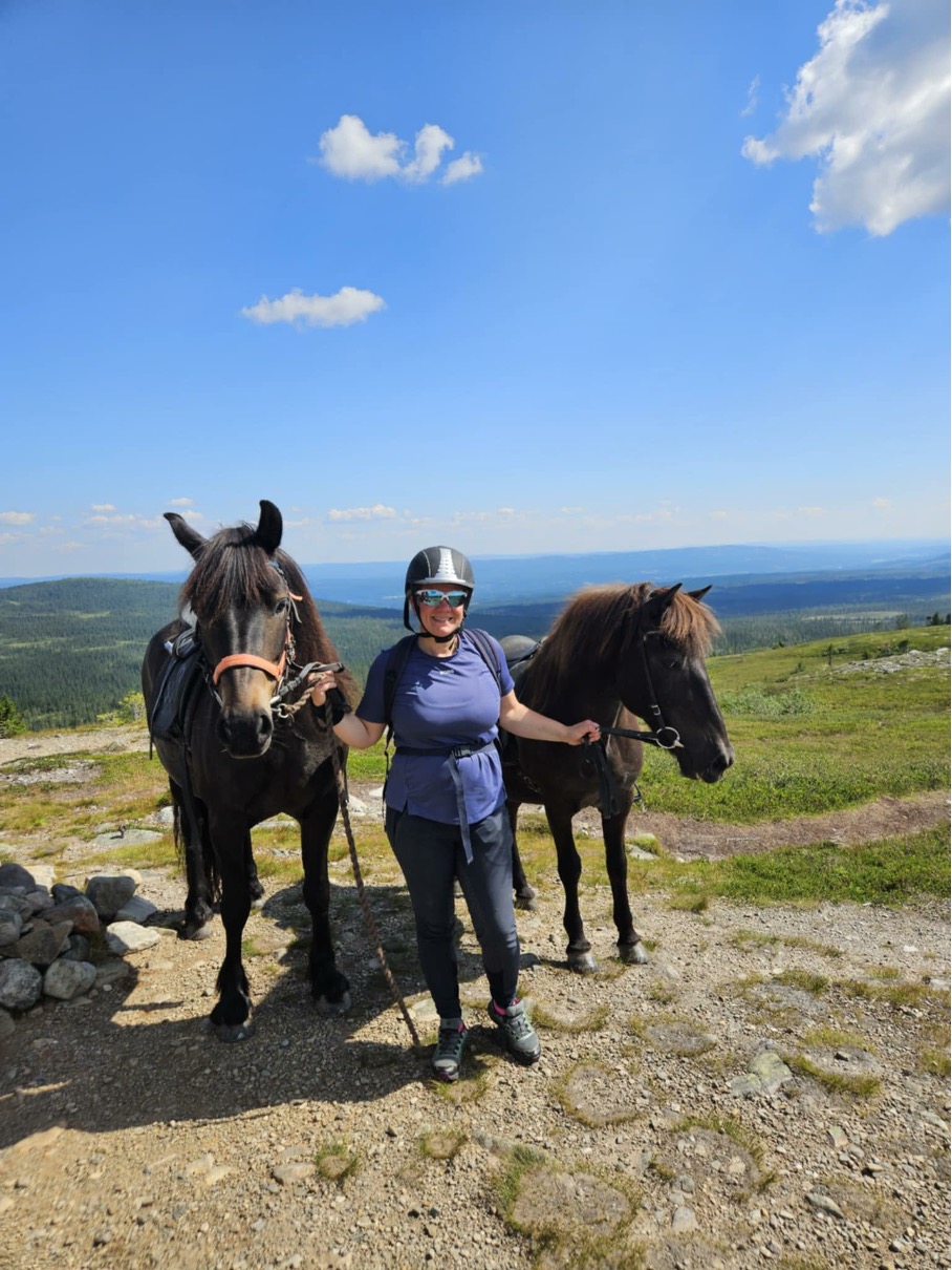 Person som står med to hester på fjellet