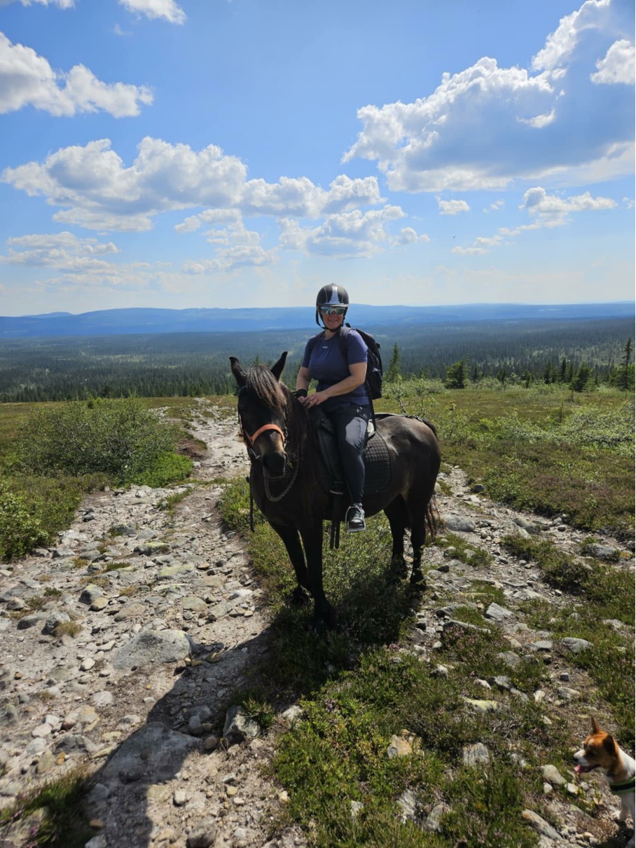 Rytter på hest oppe på en fjellrygg