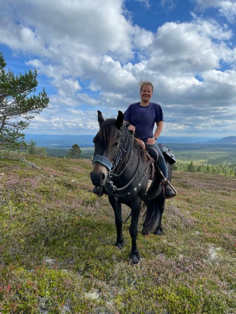 Rytter på mørk hest med utsikt over fjellet
