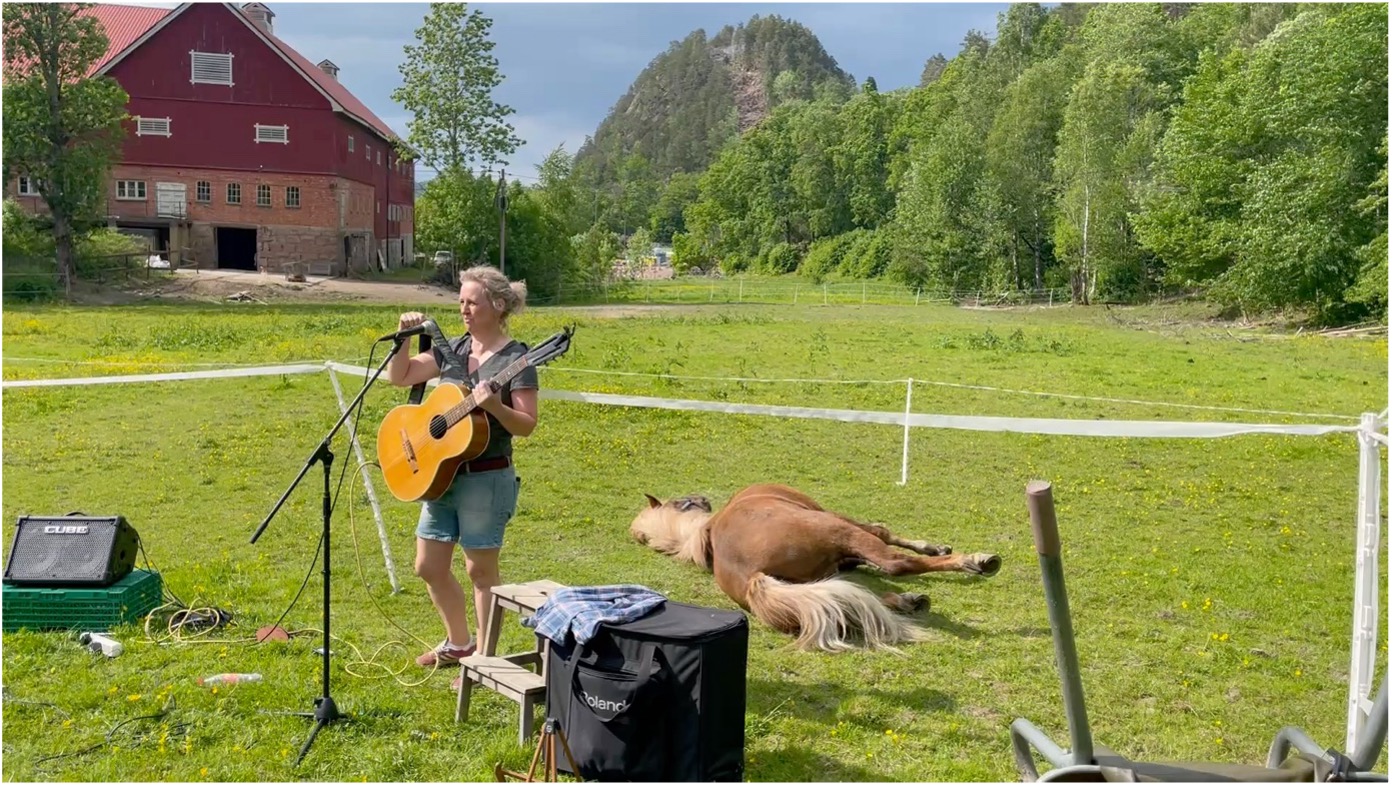 Gitarist som spiller ute på jordet mens en hest ligger og hviler i nærheten
