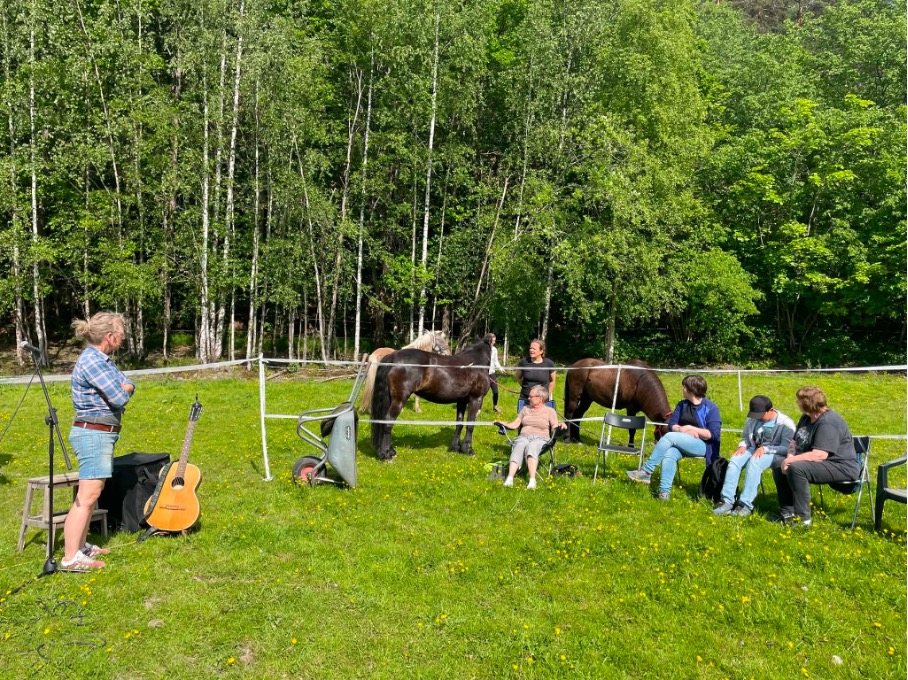 Publikum som sitter på jordet sammen med hestene under konserten